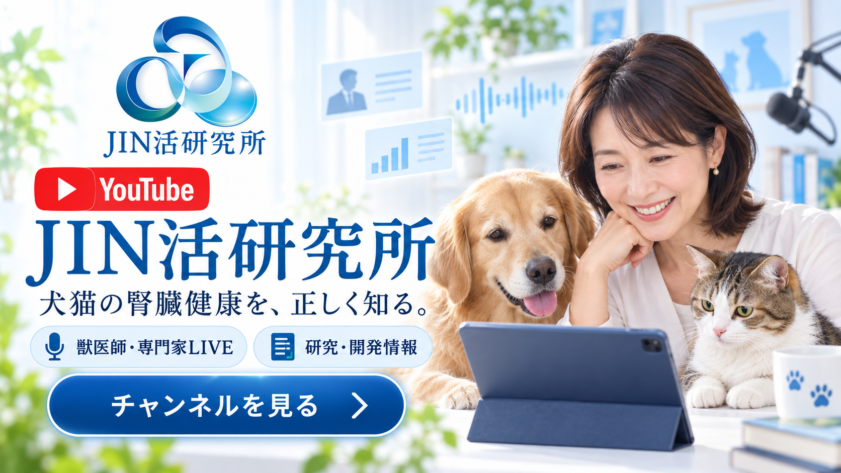 YouTube JIN活研究所